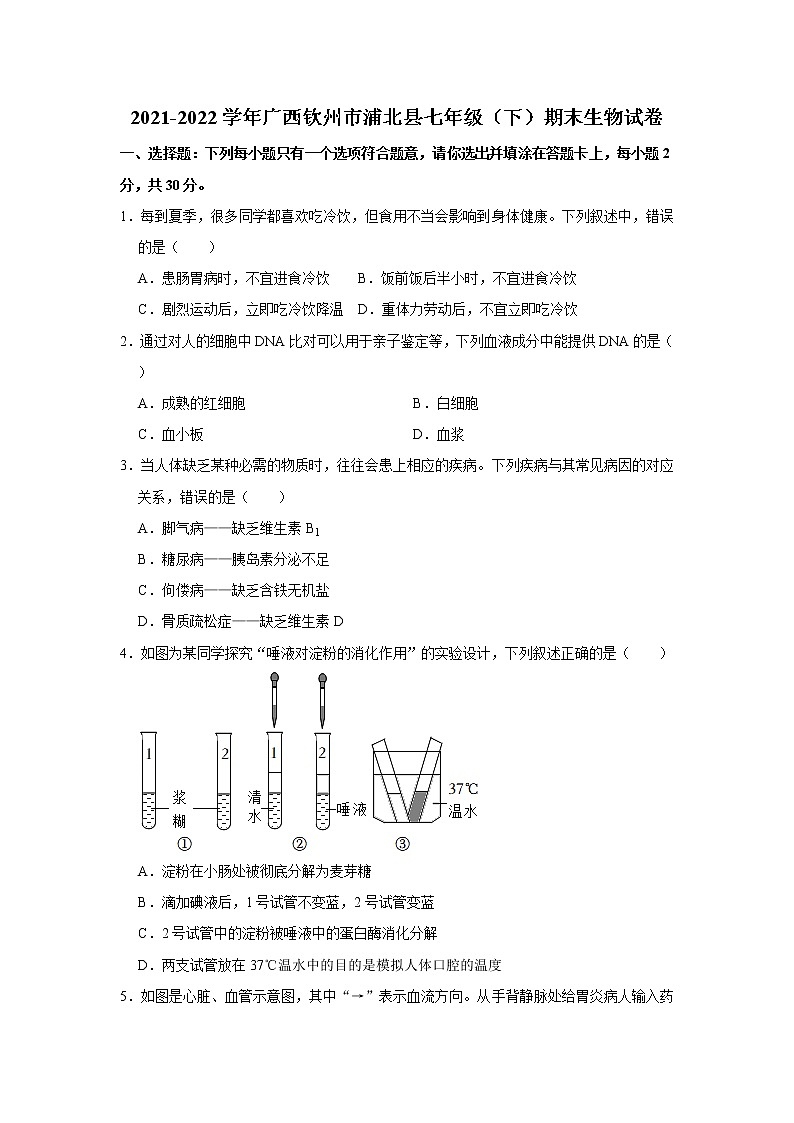广西钦州市浦北县2021-2022学年七年级下学期期末生物试卷(word版含答案)01