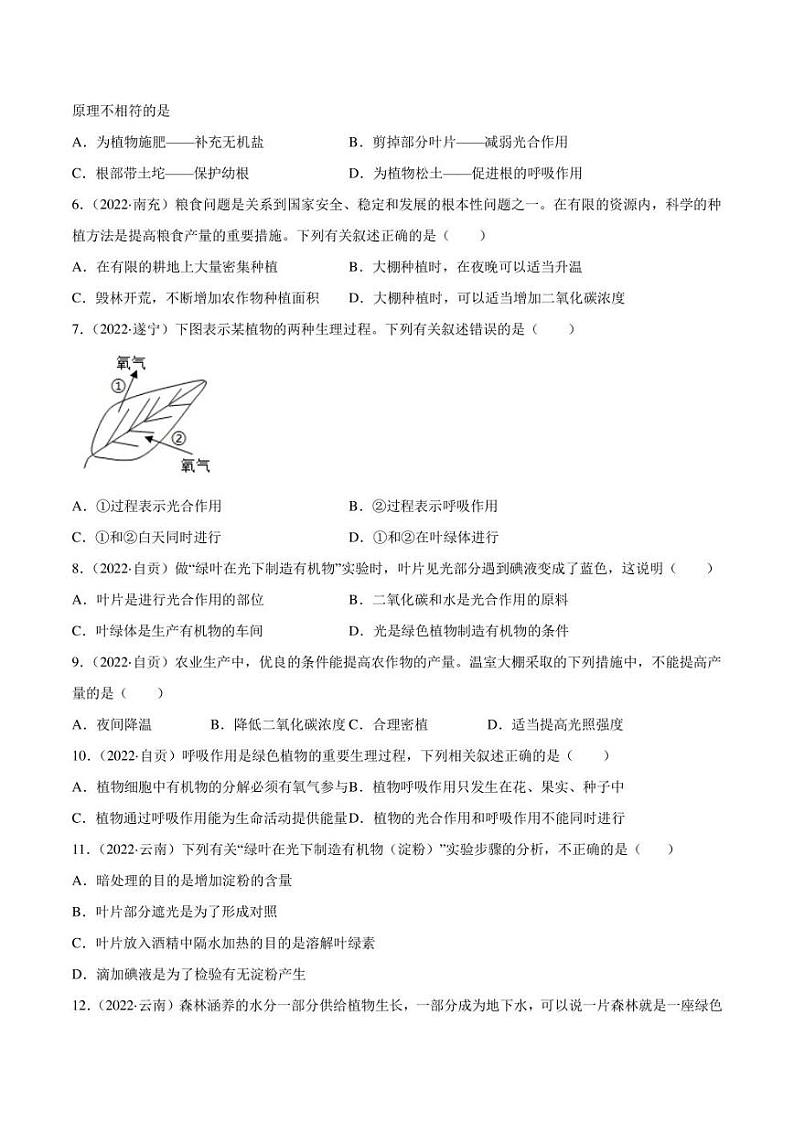 2022年中考生物真题分类汇编 专题04 绿色植物的蒸腾作用、光合作用和呼吸作用(学生版+解析版)第2页