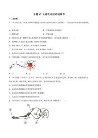 2022年中考生物真题分类汇编 专题07 人体生命活动的调节（学生版+解析版）