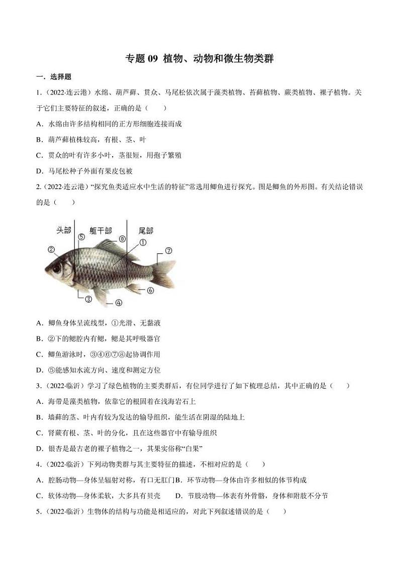 2022年中考生物真题分类汇编 专题09 植物、动物和微生物类群(学生版+解析版)第1页