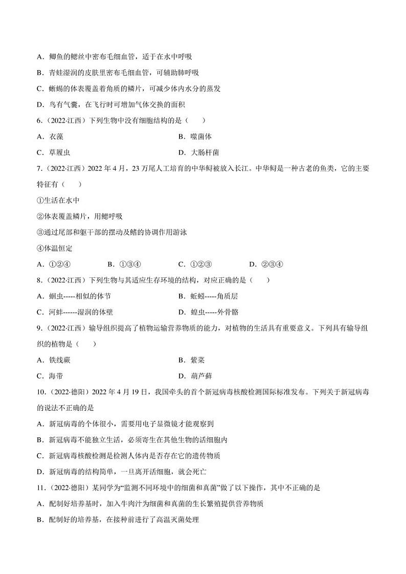 2022年中考生物真题分类汇编 专题09 植物、动物和微生物类群(学生版+解析版)第2页