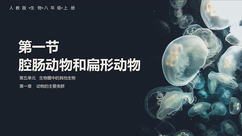 1 腔肠动物和扁形动物 课件(26张PPT)01