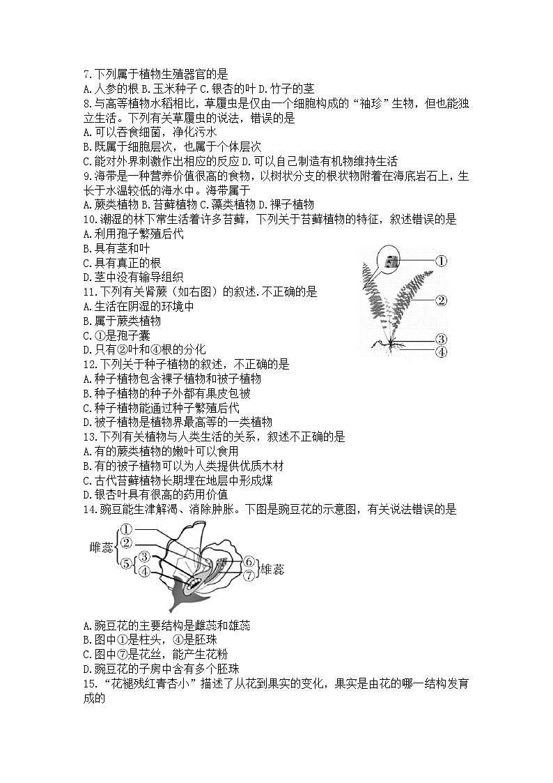 陕西省渭南市华州区2021-2022学年七年级下学期期末教学质量检测生物试题(word版含答案)第2页
