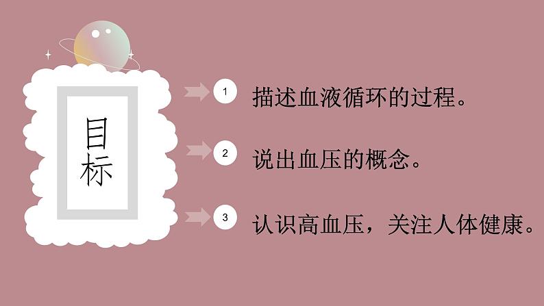 10.2.2 人体血液循环课件(第二课时)第2页