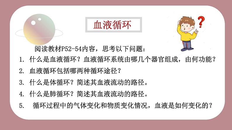 10.2.2 人体血液循环课件(第二课时)第5页