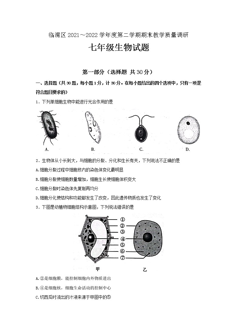 陕西省渭南市临渭区2021-2022学年七年级下学期期末教学质量调研生物试题(word版含答案)第1页