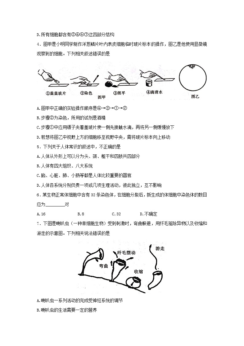 陕西省渭南市临渭区2021-2022学年七年级下学期期末教学质量调研生物试题(word版含答案)第2页