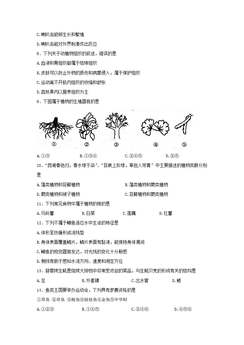 陕西省渭南市临渭区2021-2022学年七年级下学期期末教学质量调研生物试题(word版含答案)第3页