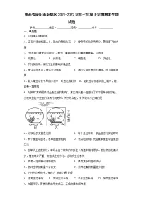 陕西省咸阳市秦都区2021-2022学年七年级上学期期末生物试题(word版含答案)