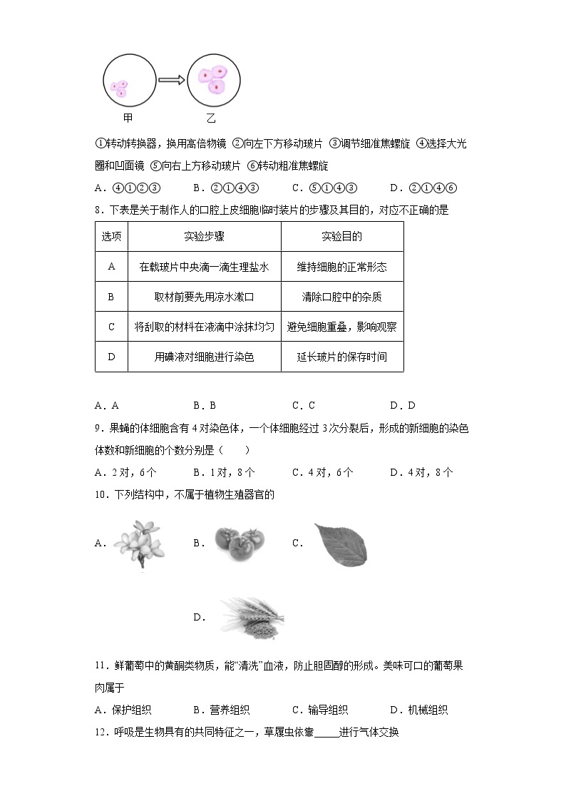 陕西省咸阳市秦都区2021-2022学年七年级上学期期末生物试题(word版含答案)02