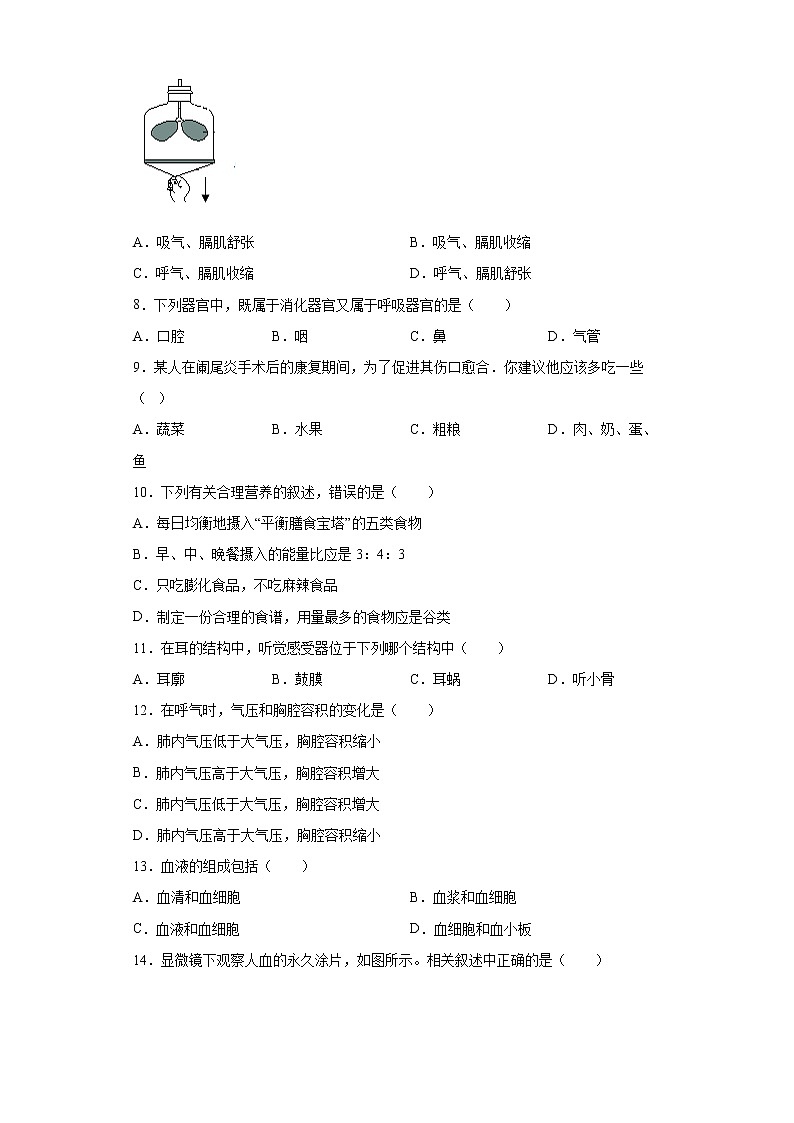 四川省广安市广安区2021-2022学年七年级下学期期末生物试题(word版含答案)02