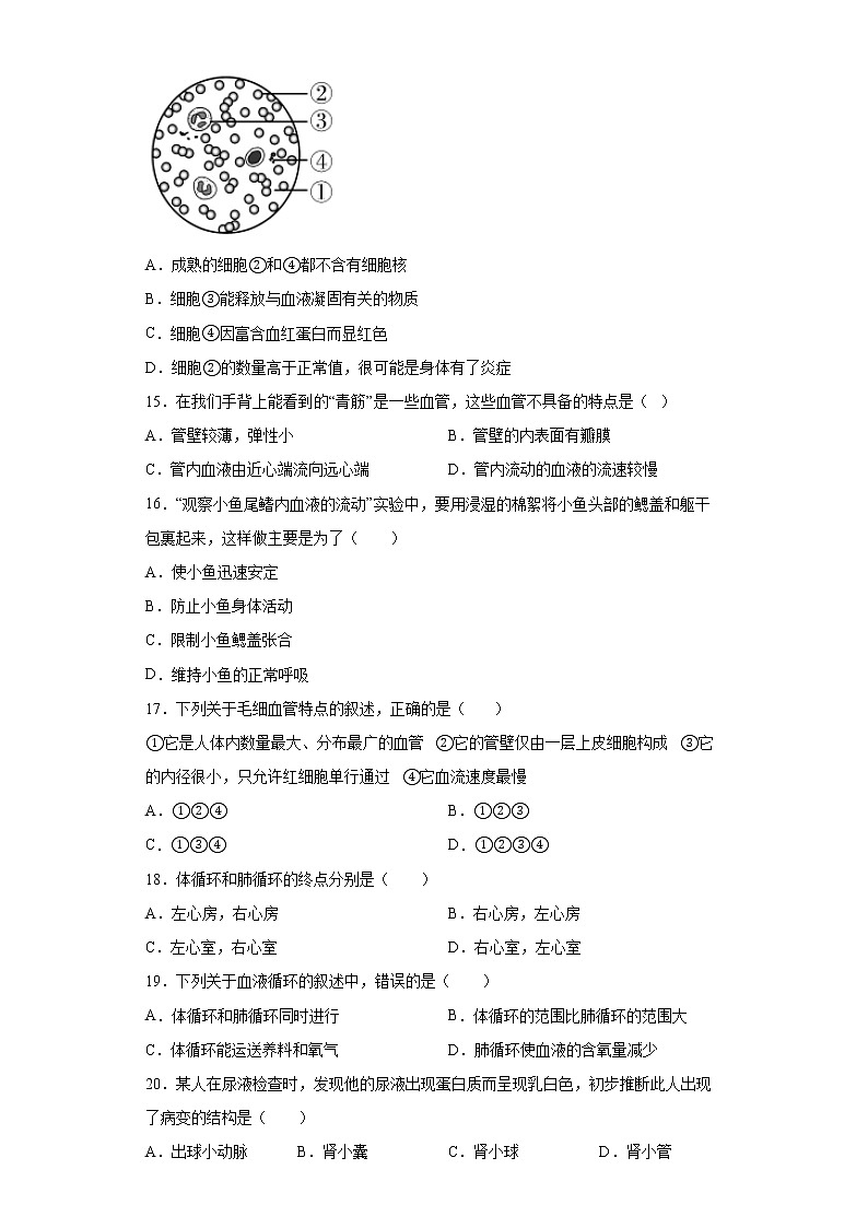 四川省广安市广安区2021-2022学年七年级下学期期末生物试题(word版含答案)03