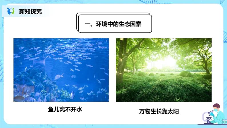 人教新版生物七年级上册《生物与环境的关系》课件+教案+练习08