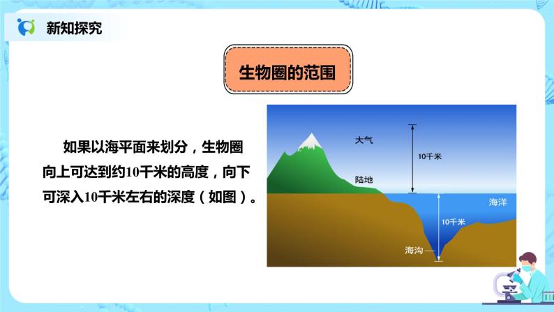 人教新版生物七年级上册《生物圈是最大的生态系统》课件+教案+练习06