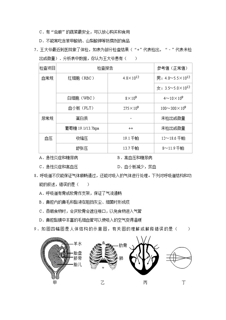 河南省鹤壁市浚县2021-2022学年七年级下学期期末生物试卷(word版含答案)第2页