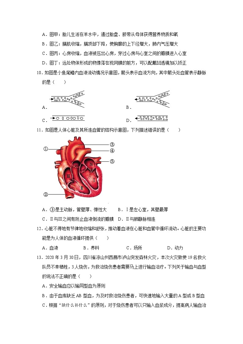河南省鹤壁市浚县2021-2022学年七年级下学期期末生物试卷(word版含答案)第3页