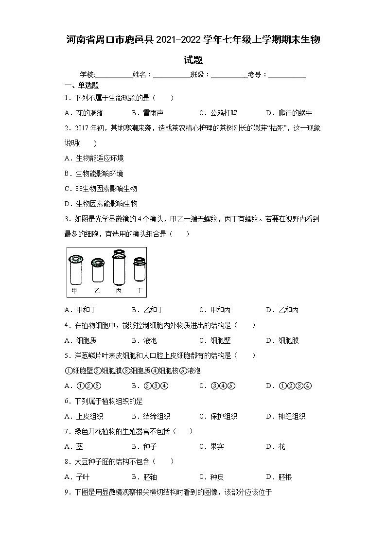 河南省周口市鹿邑县2021-2022学年七年级上学期期末生物试题(word版含答案)01