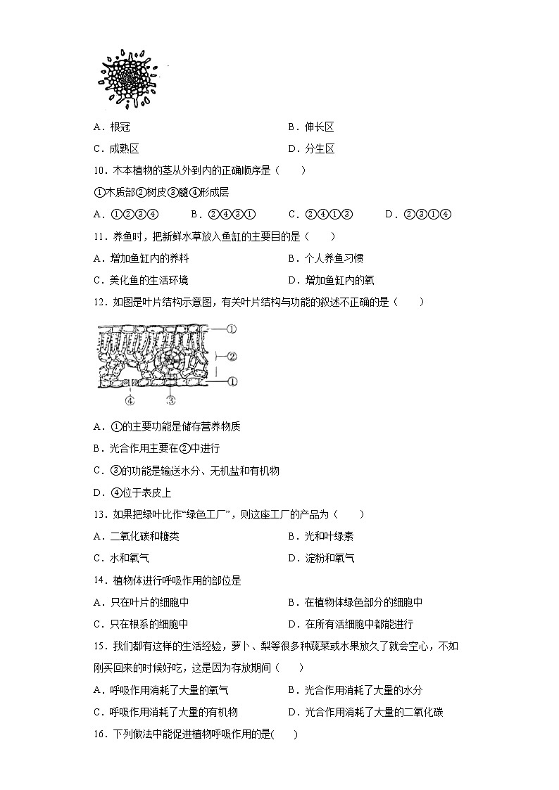 河南省周口市鹿邑县2021-2022学年七年级上学期期末生物试题(word版含答案)02