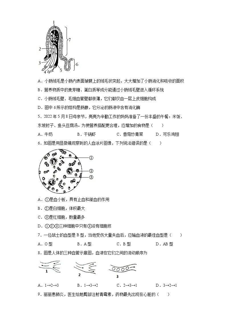 四川省成都市邛崃市2021-2022学年七年级下学期期末生物试题(word版含答案)02