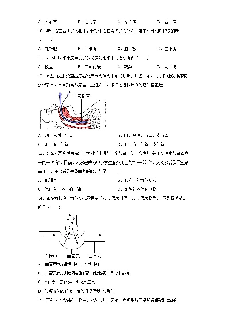 四川省成都市邛崃市2021-2022学年七年级下学期期末生物试题(word版含答案)03