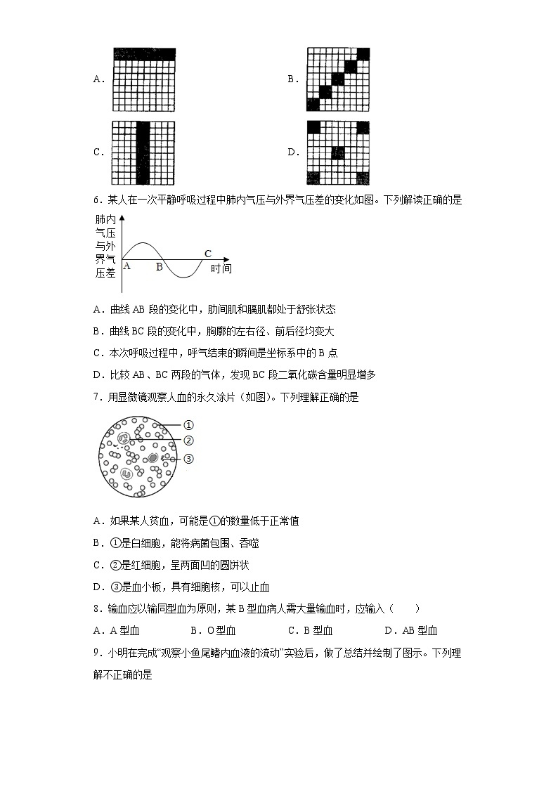 山东省泰安市东平县2021-2022学年七年级上学期期末生物试题(word版含答案)02