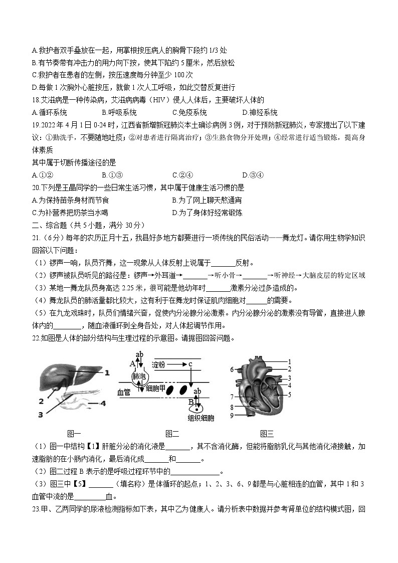 江西省吉安市遂川县2021-2022学年七年级下学期期末生物试题(word版含答案)第3页