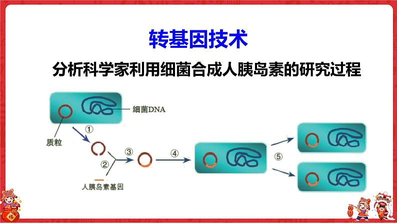 25.2现代生物技术课件2021--2022学年北师大版八年级生物下册第6页