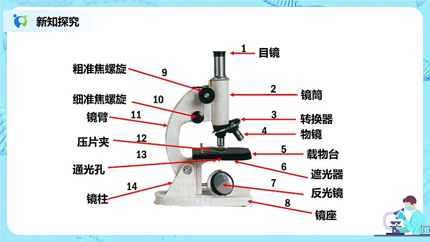 練習使用顯微鏡第6頁