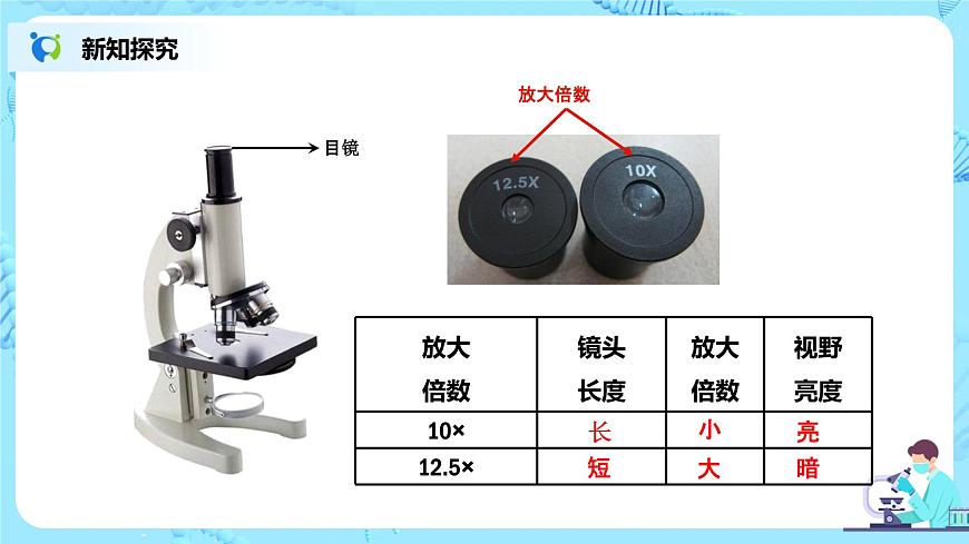 練習使用顯微鏡第7頁