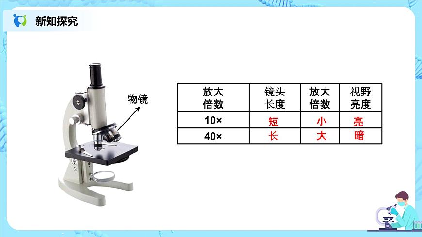 練習使用顯微鏡第8頁