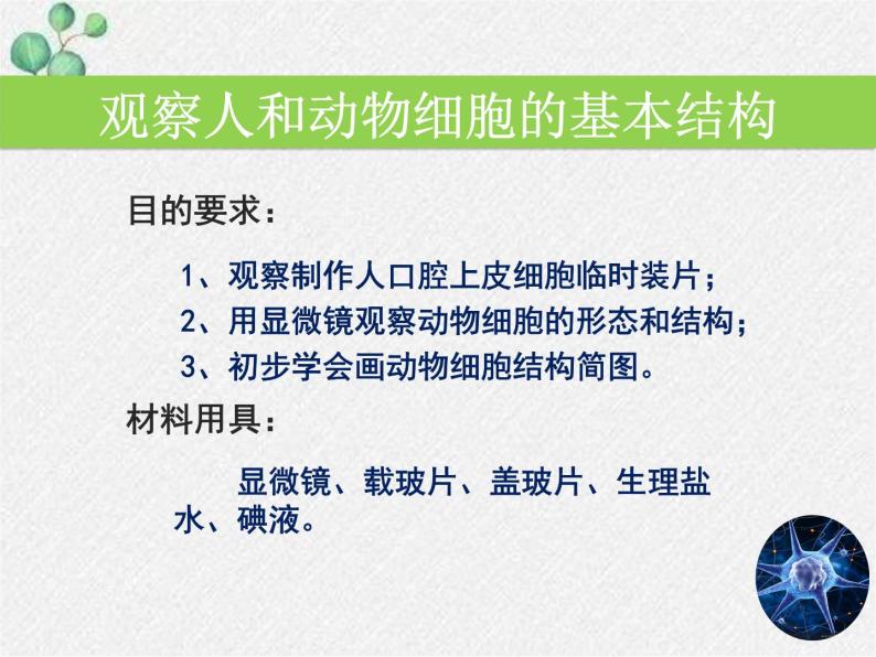 2.3.1+细胞的基本结构和功能（第二课时）课件2022-2023学年北师大版生物七年级上册04