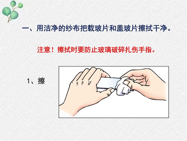 2.3.1+细胞的基本结构和功能(第二课时)课件2022-2023学年北师大版生物七年级上册第5页