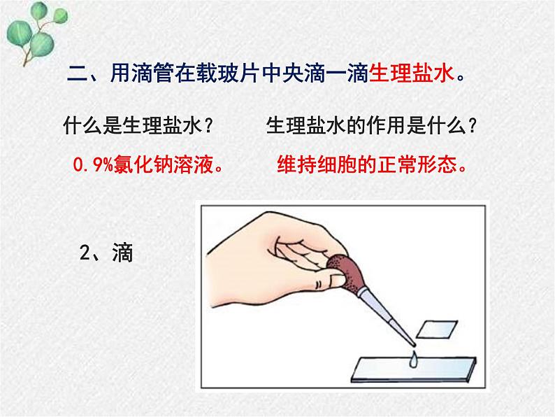 2.3.1+细胞的基本结构和功能(第二课时)课件2022-2023学年北师大版生物七年级上册第6页