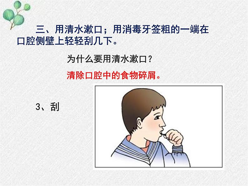 2.3.1+细胞的基本结构和功能(第二课时)课件2022-2023学年北师大版生物七年级上册第7页
