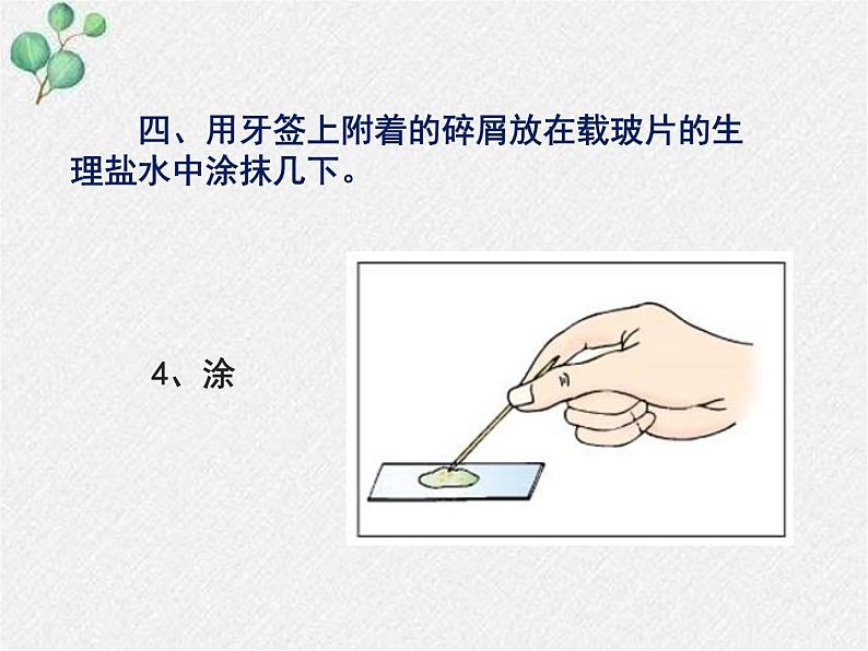 2.3.1+细胞的基本结构和功能(第二课时)课件2022-2023学年北师大版生物七年级上册第8页