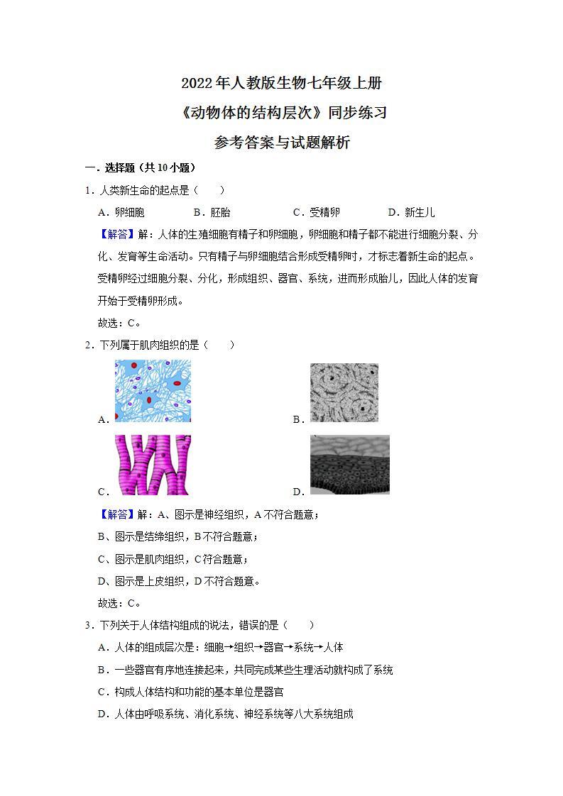 人教新版生物七年级上册《动物体的结构层次》课件+教案+练习03