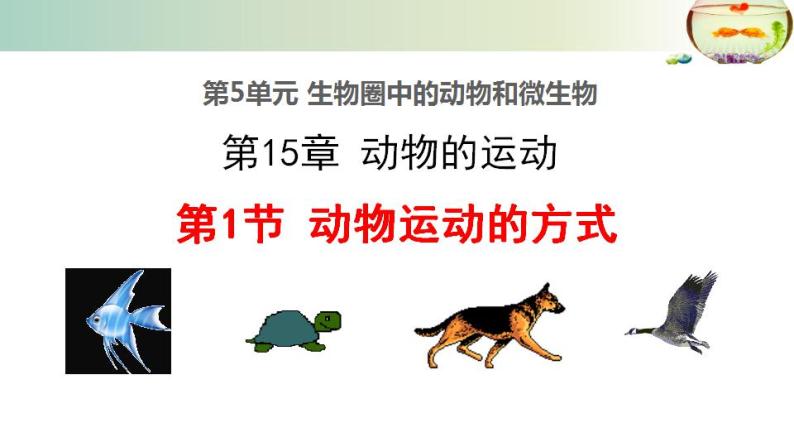 15.1动物运动的方式++课件2022-2023学年北师大版生物八年级上册01