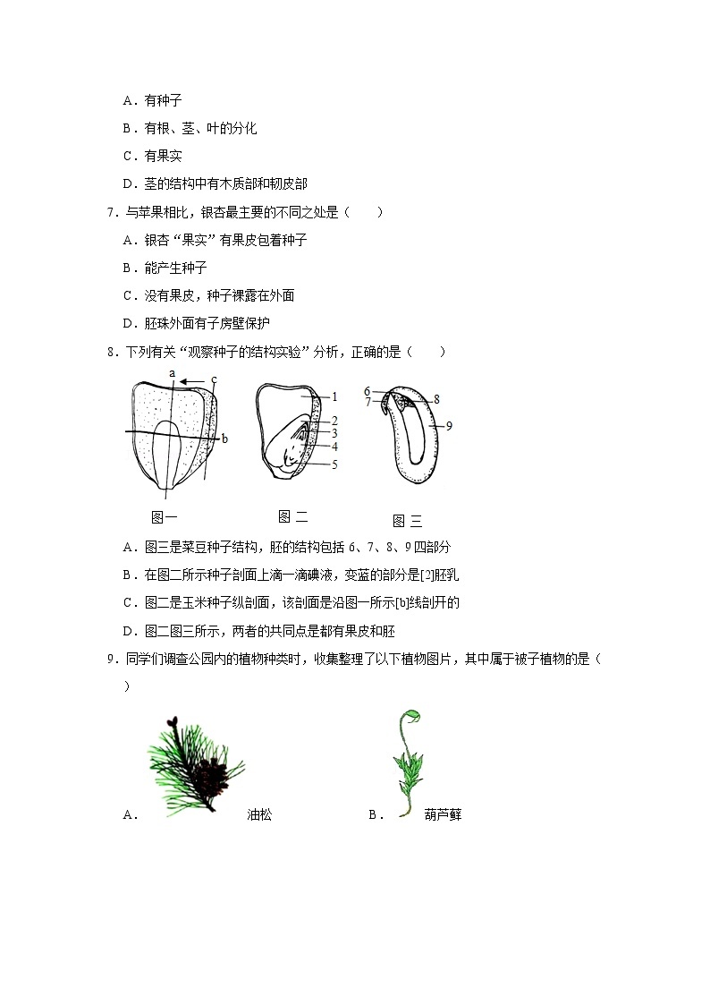 人教新版生物七年级上册《种子植物》课件+教案+练习02