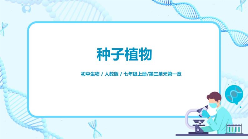 人教新版生物七年级上册《种子植物》课件+教案+练习01