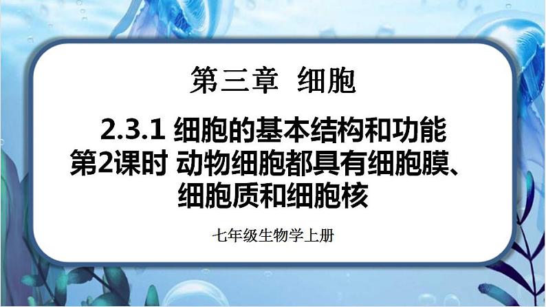 2.3.1 细胞的基本结构和功能(第2课时)第1页