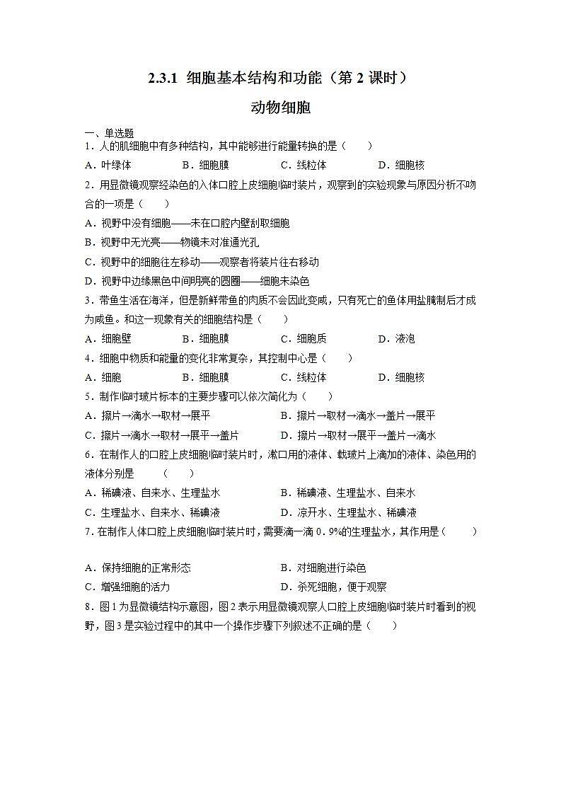 2.3.1 细胞的基本结构和功能(第2课时)(原卷版)第1页