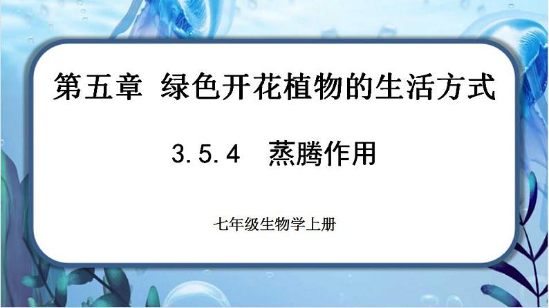 北师大版七上生物3.5.4《蒸腾作用》课件+同步练习01