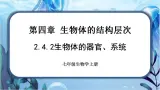 北师大版七上生物2.4.2《生物体的器官、系统》課件+同步練習