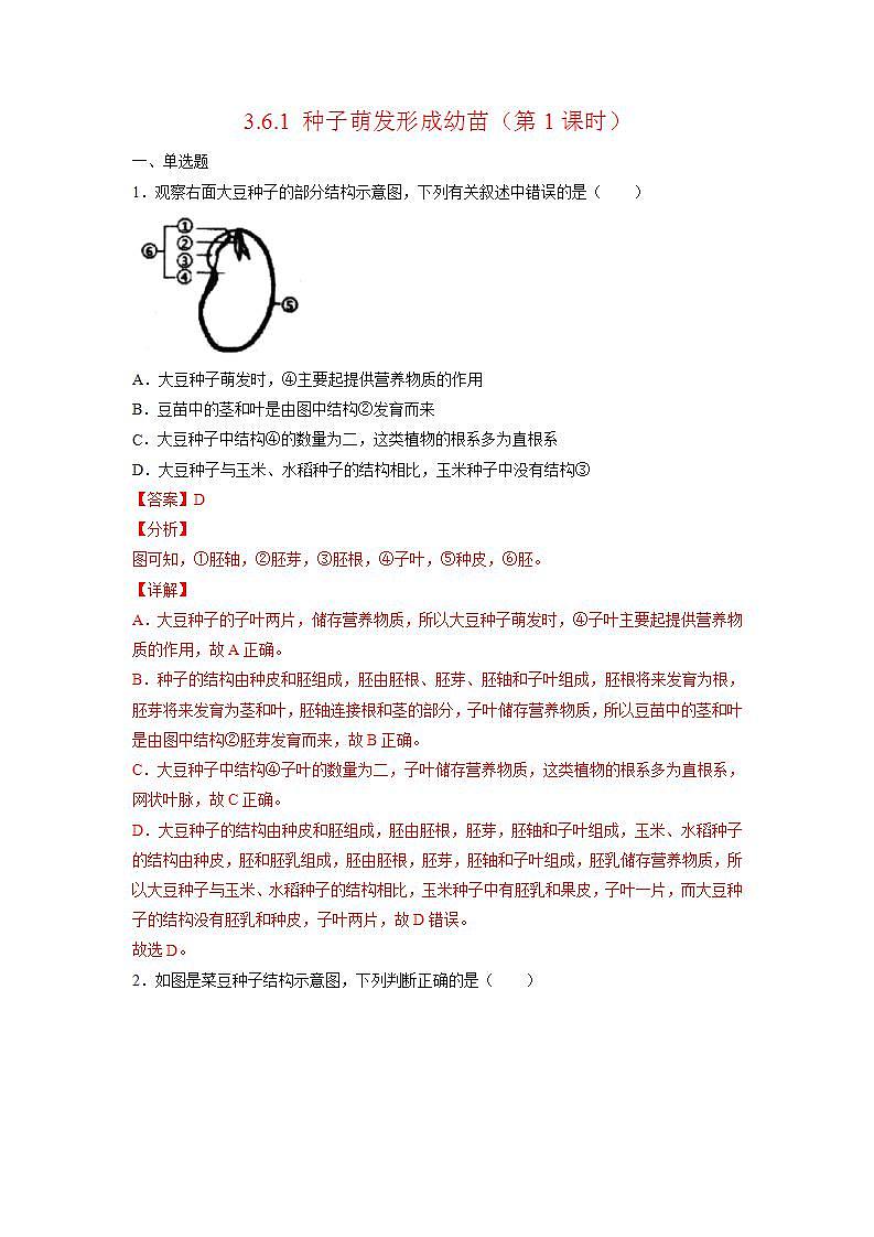 北师大版七上生物3.6.1《种子萌发形成幼苗》第1课时 课件+同步练习01