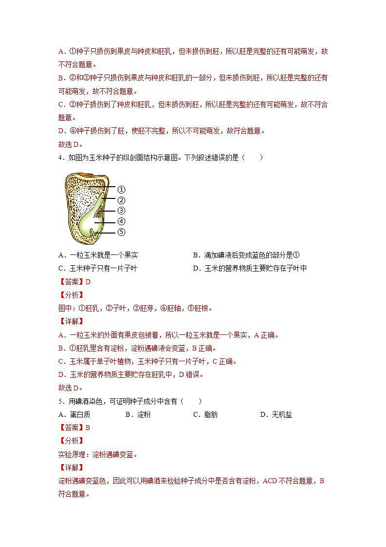 北师大版七上生物3.6.1《种子萌发形成幼苗》第1课时 课件+同步练习03