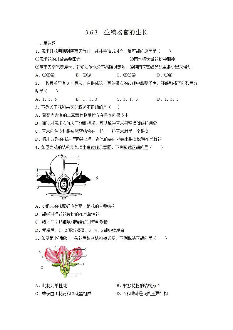 3.6.3 生殖器官的生长(原卷版)第1页