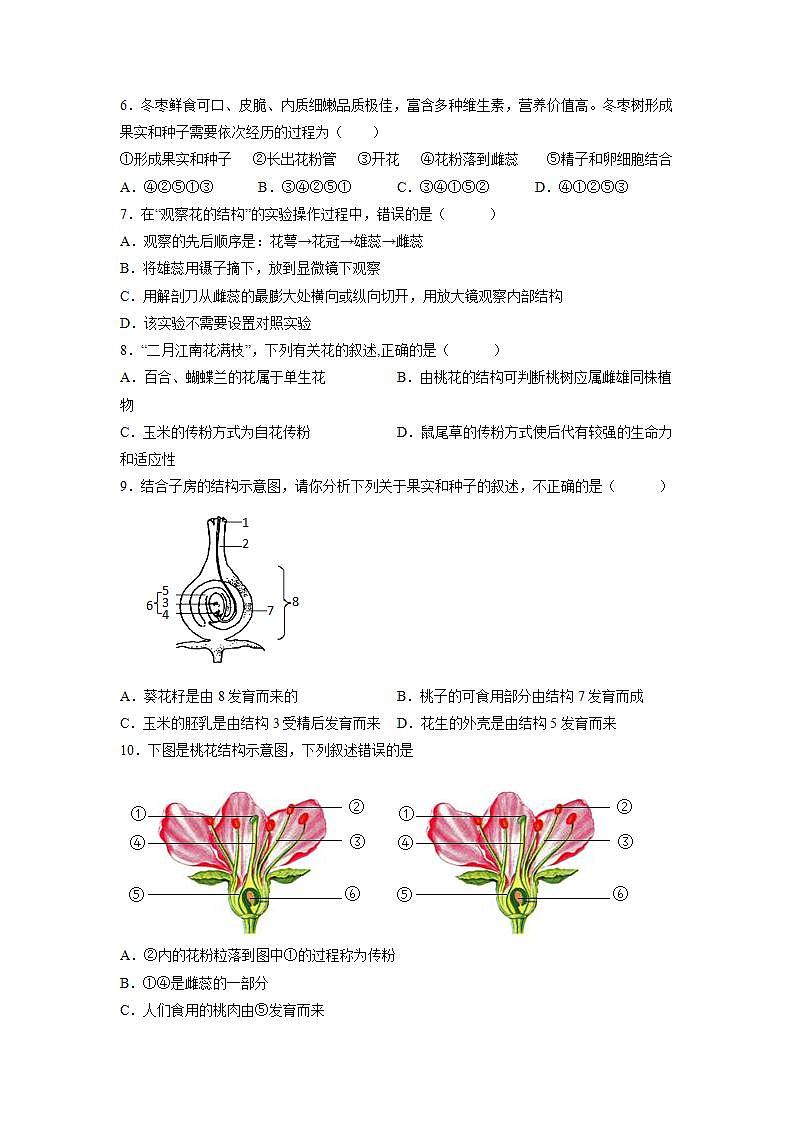3.6.3 生殖器官的生长(原卷版)第2页