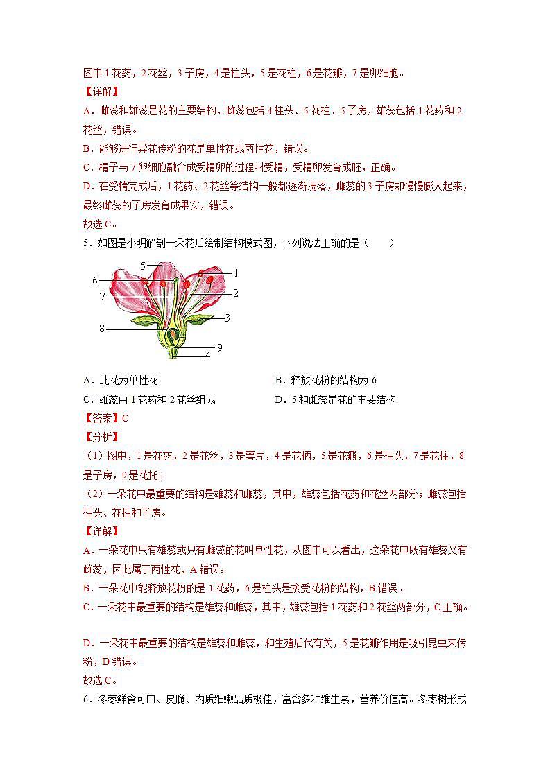 3.6.3 生殖器官的生长)(解析版)第3页