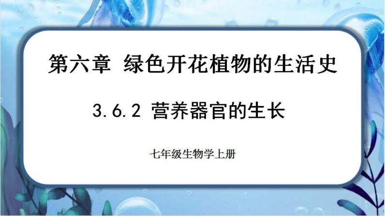 北师大版七上生物3.6.2《营养器官的生长》课件+同步练习01