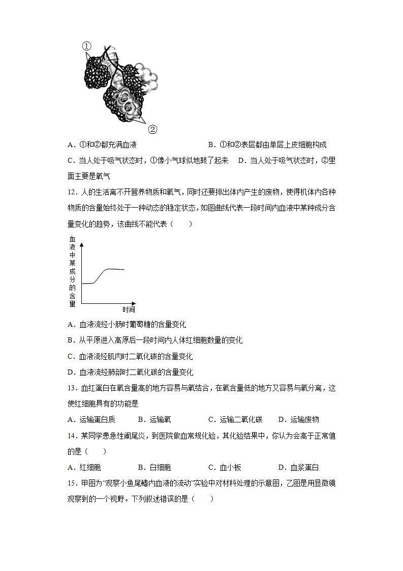 广东省汕尾市海丰县2021-2022学年七年级下学期期末生物试题(word版含答案)03